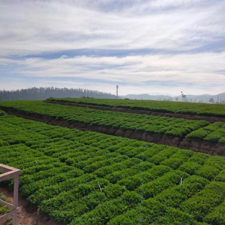 Brown Tree Resorts Ooty Ngoại thất bức ảnh