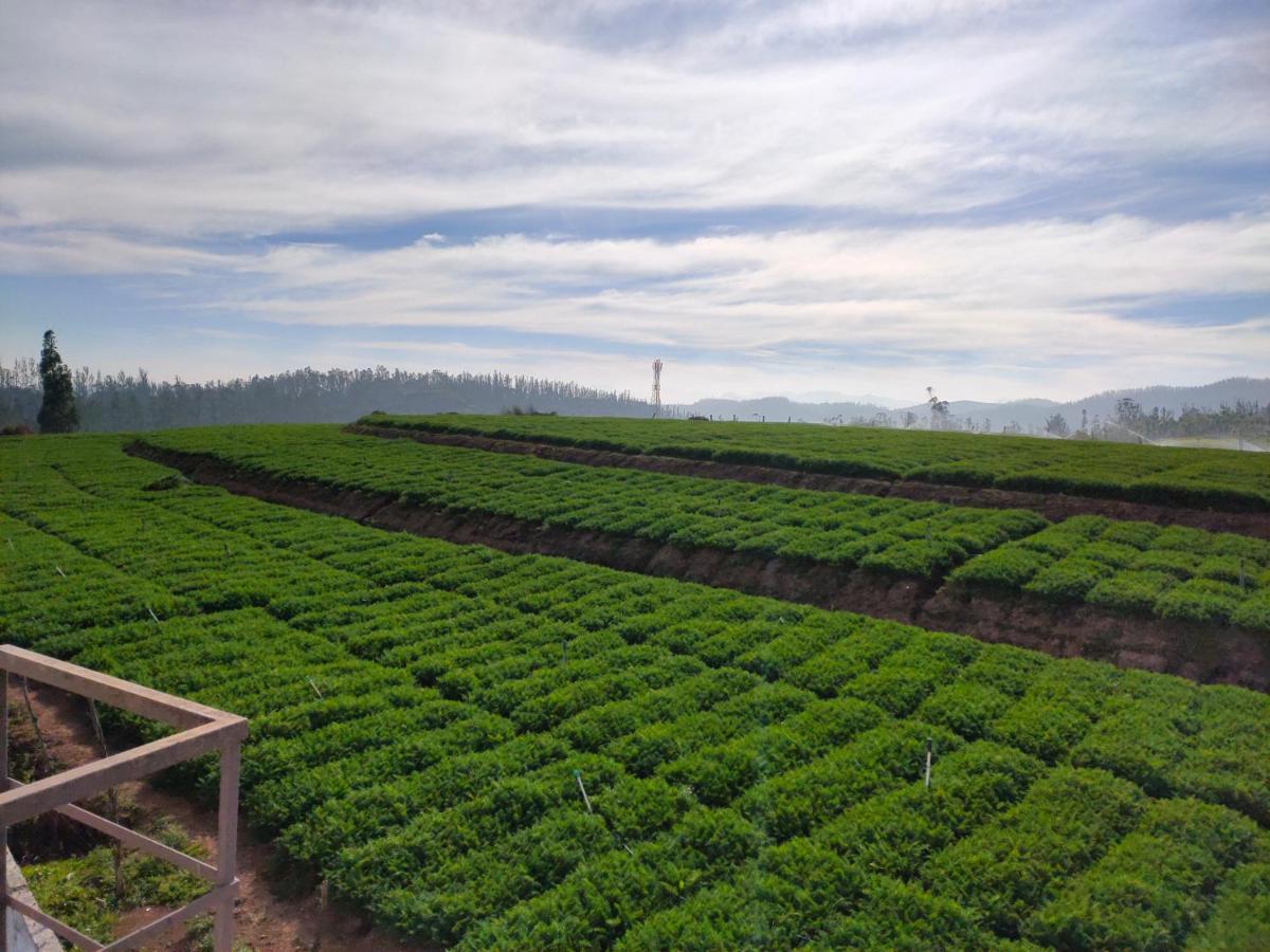 Brown Tree Resorts Ooty Ngoại thất bức ảnh